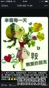 女子网购加菲猫收到死猫卖家：找警察也没用