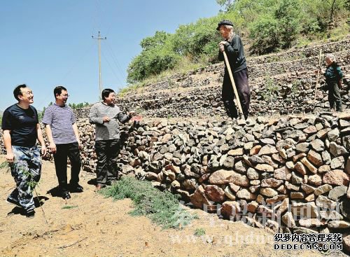 工作组来到村民的地里查看山楂树长势。 本报记者 马卫庆 摄