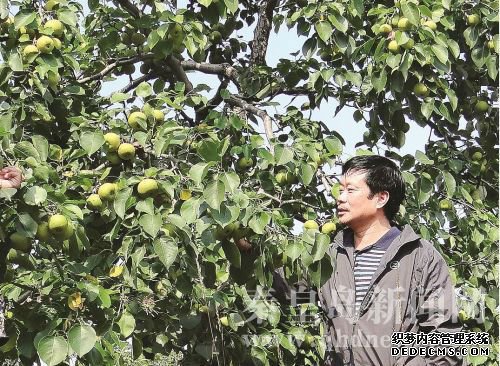QQ截图20161019091242